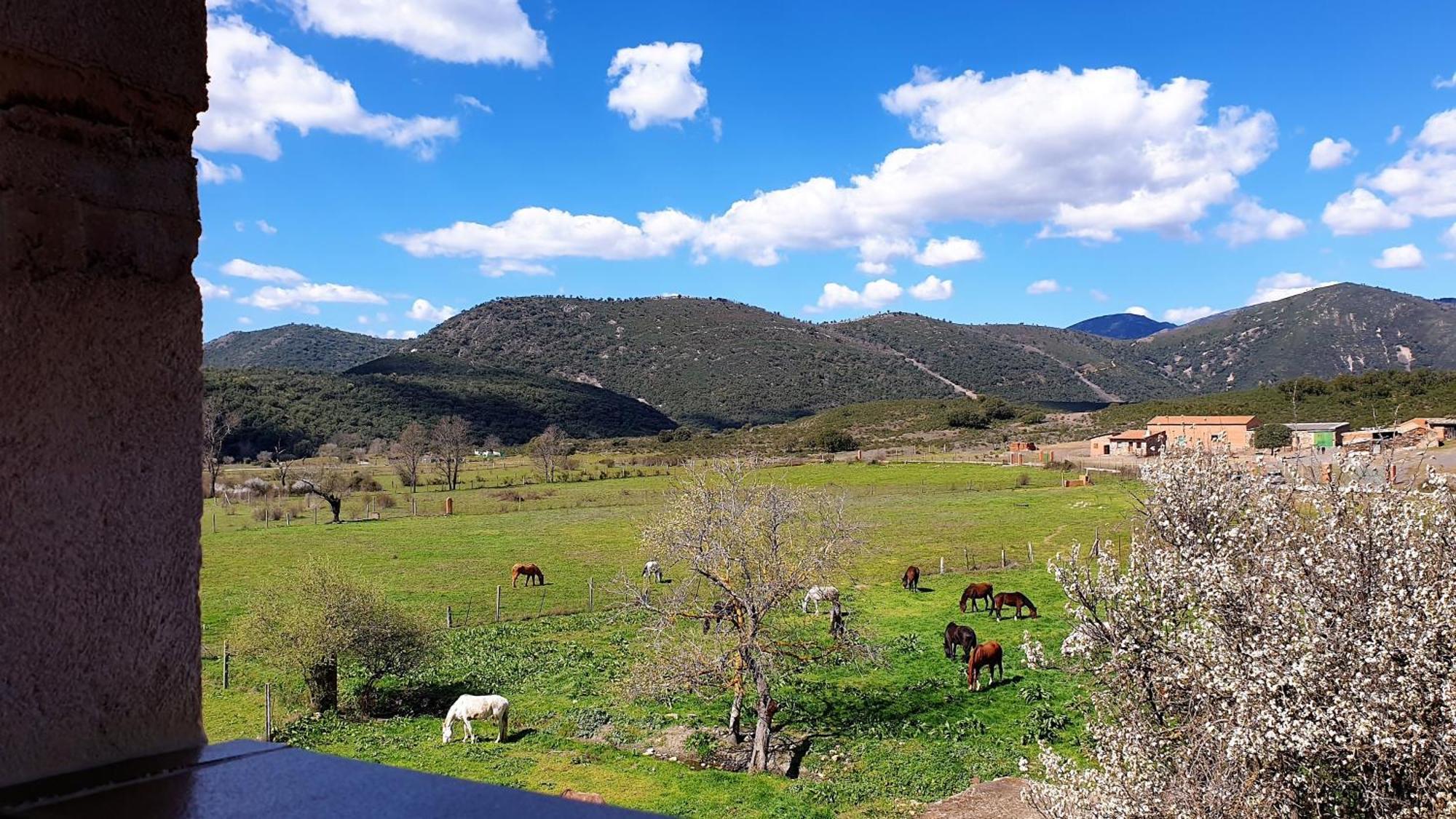 Casa Con Piscina En Parque Nacional De Cabaneros Navas de Estena 外观 照片